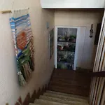 El Ultimo Bucardo * Linás de Broto