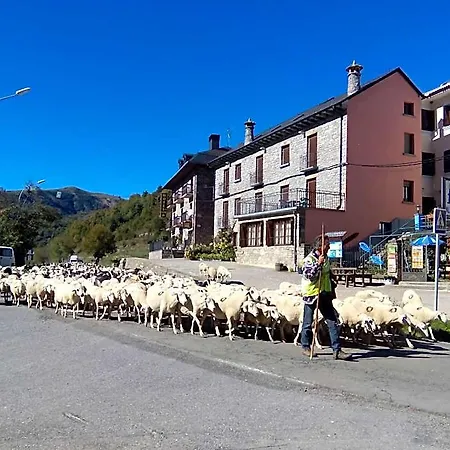 El Ultimo Bucardo