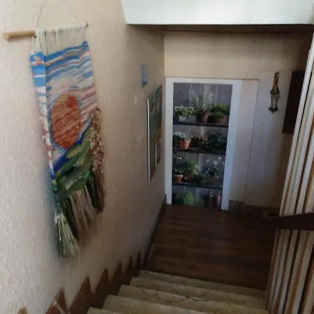 El Ultimo Bucardo * Linás de Broto